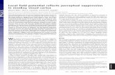 Local field potential reflects perceptual suppression … field potential reflects perceptual suppression in monkey visual cortex Melanie Wilke*, Nikos K. Logothetis, and David A.