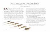 Do Frogs Come from Tadpoles? - The Nature Institute ·  · 2017-07-21spring 2015 In Context #33 13 Do Frogs Come from Tadpoles? Understanding Development as Creative Activity ...