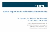 Active region loops: Hinode/EIS observations region loops: Hinode/EIS observations ... [A (b) G(N e,T e)] I ... loop_presentation_new_tripathi.ppt [Read-Only]