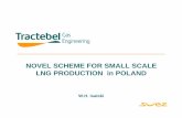 NOVEL SCHEME FOR SMALL SCALE LNG … · Flow 136 000 NCMH. 10th TGE Symposium June 10, 2005 Process Elements in Nitrogen Rejection Units (NRUs) ... Less stable operation of the cryogenic