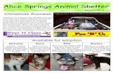 Alice Springs Animal Shelter · Alice Springs Animal Shelter Nicholas Cheeky, cheery, playful and sweet... These are the traits that sir Nicholas meets! Yanni Yanni ... lady who loves