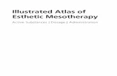 Illustrated Atlas of Esthetic Mesotherapy “work” done. Consequently, there is every reason for a gradual, long-term strategy, where it is preferable to start with a milder mixture,