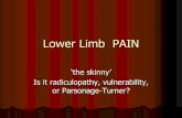 Lower Limb PAIN - OSU Center for Continuing Medical … proximal muscle One distal muscle One muscle ABOVE suspected root One muscle below suspected root ... Stimulation of nerve to