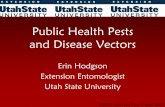 Public Health Pests and Disease Vectors - … · Public Health Pests and Disease Vectors Erin Hodgson ... Louse-borne disease ... Mosquito biology