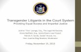 Transgender Litigants in the Court System Litigants in the Court System Providing Equal Access and Impartial Justice. ... • Shemale • Transvestite • Tranny • Pre-Op, Post-Op,