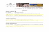 LCP Egyptian Petrography program 2 - WordPress.com ·  · 2017-09-041:00 pm – 4:00 pm Aswan and shale clay fabrics (identification, variation ... Microsoft Word - LCP Egyptian