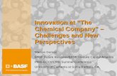 Innovation at “The Chemical Company” – Challenges …pire-ecci.ucsb.edu/pire-ecci-old/summerschool/papers/gomez.pdfBASF’s products Segments Products (examples) 13 446 - 6 BASF