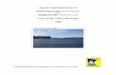 Little Pine Lake Daggett Lake - Minnesota Department of ...files.dnr.state.mn.us/natural_resources/water/lakes/vegetation... · Little Pine, Daggett and Cross Lake Reservoir Lakes