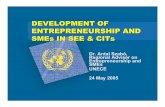 DEVELOPMENT OF ENTREPRENEURSHIP AND SMEs … · THE SME DEVELOPMENT ... impacts of the declaration on the development of entrepreneurship and SMEs sector.