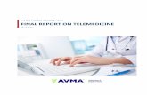 AVMA Practice Advisory Panel FINAL REPORT ON … · the provision of veterinary services must take appropriate steps to ... 01.13.17 AVMA Practice Advisory Panel Final Report on ...