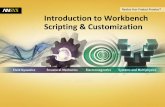 Introduction to Workbench Scripting & Customization · CFX CCL Yes Yes CFD Post CCL Yes Yes FLUENT Scheme Yes Yes PolyFlow N/A IcePak N/A AUTODYN N/A Recording WB journal will record