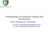 Embryology of Coelomic Cavity and peritoneum gut Ventral Mesentery Diaphragm Pelvic diaphragm ----- ----- Posterior abdominal Bile duct, Hepatic wall Anterior abdominal wall GIT ...