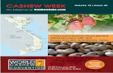 CASHEW WEEK Volume 16 | Issue 45 · CASHEW WEEK Volume 16 | Issue 45 18-20 February, 2016 Al Bustan Rotana, Dubai DATES MARKMARK YOUR DATES 7th Golden Cashew Rendezvous Vietnam (GCR-2015)