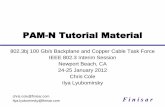 PAM-N Tutorial Material - IEEE 802ieee802.org/3/bj/public/jan12/cole_02a_0112.pdfPAM-N Tutorial Material 802.3bj 100 Gb/s Backplane and Copper Cable Task Force IEEE 802.3 Interim Session