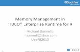 Memory Management in TIBCO® Enterprise Runtime for R · Title: TIBCO Enterprise Runtime for R Overview and Architecture Author: Michael J Sannella Created Date: 7/16/2013 9:47:15