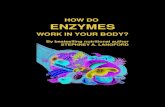 HOW DO ENZYMES - Whole Earth Health · HOW DO ENZYMES WORK IN YOUR BODY? By bestselling nutritional author STEPHNEY A. LANGFORD. Contents What are Enzymes? The Role Of Enzymes In