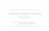 Homeomorphisms on Edges of the Mandelbrot Setsylvester.bth.rwth-aachen.de/dissertationen/2002/110/02_110.pdf · Homeomorphisms on Edges of the Mandelbrot Set Von der Fakult¨at fur¨