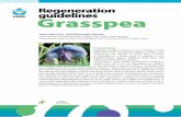 guidelines Grasspea - CGKB News and eventscropgenebank.sgrp.cgiar.org/images/file/other_crops/grasspea_eng.pdf · It is a hardy crop, ... Grasspea shows resistance to ascochyta blight