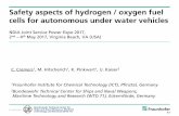 Safety aspects of hydrogen / oxygen fuel cells for ... aspects of hydrogen / oxygen fuel cells for autonomous under water vehicles C. Cremers 1, M. Hitscherich1, K. Pinkwart , U. Kaiser2