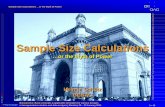 Sample Size Calculations - BEBACbebac.at/lectures/Mumbai-BEWS2011-4.pdf · Sample Size Calculations ... Calculation of CV intra from CI Point estimate (PE) from the Confidence Limits