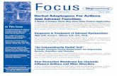 ARG Focus Newsletter March 2008 - Clinical Education · herbal medicine for allergic asthma. This formula, dubbed MSSM-002, was based on a TCM formula used in the pediatric department
