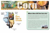 Corn Use in Illinois - IAITC Home€¦ ·  · 2015-06-25Corn Use in Illinois Animal Feed 7% Exports 53% Ethanol 25% ... high fructose corn syrup, cereal, beverages and ... • America’s