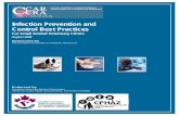 Infection Prevention and Control Best Practices€¦ ·  · 2017-04-08[1] Canadian Committee on Antibiotic Resistance Infection Prevention and Control Best Practices For Small Animal