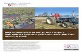 Using Biodegradable Plastics as Agricultural Mulchescru.cahe.wsu.edu/CEPublications/FS103E/FS103E.pdfUsing Biodegradable Plastics as Agricultural Mulches ... Nonwovens are manufactured