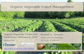Organic Vegetable Insect Management - For Your … · Organic Vegetable Insect Management ... (1st generation only) ... • Larvae hatch and tunnel germinating seeds • Larvae feed
