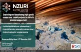 Exploring and developing high-grade copper and cobalt ...nzuricopper.com.au/wp-content/uploads/2017/12/171130-Resource...copper and cobalt projects in Africa’s premier copper belt