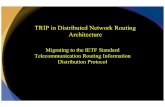 TRIP in Distributed Network Routing Architecture · TRIP in Distributed Network Routing Architecture ... • Carrier Network: A number of PRC domains inter-connected to each other
