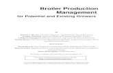 Broiler Production Management - University Of Marylandextension.umd.edu/.../_docs/POULTRY_BroilerProductionManageme… · Broiler Production Management ... Farm Broiler Production