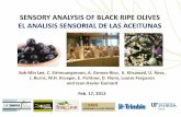 SENSORY ANALYSIS OF BLACK RIPE OLIVES EL ANALISIS ...multimedia.dipusevilla.es/fundacionaceituna/documentos/... · SENSORY ANALYSIS OF BLACK RIPE OLIVES EL ANALISIS SENSORIAL DE LAS
