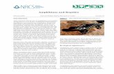 Amphibians and Reptiles - Home | NRCS and Reptiles 4 fragmentation, the alteration of natural disturbance regimes, predation by and competition with non-na-tive and invasive species,