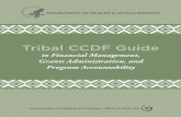 Tribal CCDF Guide - CCTAN CCDF Guide . to Financial Management, Grants Administration, and Program Accountability. Administration for Children and Families • Office of Child Care.