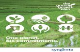 One planet. Six commitments. - Syngenta/media/Files/S/Syngenta/documents/the... · productivity sustainably by improving soil structure and adding organic matter through appropriate