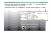 2006 Juvenile Salmonid Production Evaluation Reportwdfw.wa.gov/publications/00071/wdfw00071.pdf · 2006 Juvenile Salmonid Production ... 2006 Juvenile Salmonid Production Evaluation