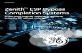 Zenith ESP Bypass Completion Systems - GE Oil & Gas the ESP with wireline or coiled tubing, or for the deployment of dual ESP completion systems. ... Zenith™ ESP Bypass Completion