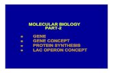 MOLECULAR BIOLOGY PART-2 GENE GENECONCEPTGENE CONCEPT PROTEIN SYNTHESIS ... ·  · 2012-02-08PROTEIN SYNTHESIS LACOPERONCONCEPTLAC OPERON CONCEPT. ... The fine structure ofThe fine