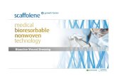 Bioactive Wound Dressing - scaffolene · Technologies Freudenberg Politex Nonwovens Household Products Business Area Business Groups Freudenberg Household Products Specialties and