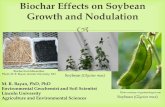 Biochar Effects on Soybean Growth and Soil Propertiesbiochar.illinois.edu/BiocharVideos/Bayan 1st/Bayan First… ·  · 2013-10-02Biochar Effects on Soybean Growth and Nodulation