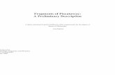 Fragments of Piscataway: A Preliminary Descriptionpubman.mpdl.mpg.de/pubman/item/escidoc:407325/... · Fragments of Piscataway: A Preliminary Description ... Chapter 4 Catechism Analysis