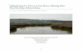 Adapting to Sea Level Rise Along the North Bay Shorelinenbwatershed.org/wp-content/uploads/2016/07/PRBO_NBWA_report_Fi… · 1 Adapting to Sea Level Rise Along the North Bay Shoreline
