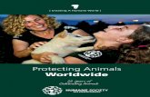 Protecting Animals - Humane Society International · Mission Humane Society ... HSI’s Vision ... we are determined to stop the misery these dogs endure. HSI is working in countries