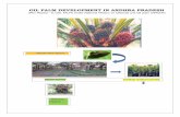 OIL PALM DEVELOPMENT IN ANDHRA PRADESH - …horticulture.ap.nic.in/NMOOP.pdf · In Andhra Pradesh the following eight districts have been identified for oil palm cultivation. Srikakulam,