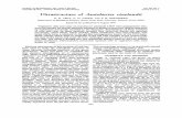 Ultrastructure of Azotobacter vinelandii - Digital Library/67531/metadc284557/m2/1/high... · Ultrastructure of Azotobacter vinelandii G. R. VELA, G. D. CAGLE, AND P. R. HOLMGREN