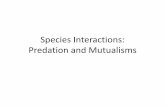 Species Interactions: Predation - Weber Statefaculty.weber.edu/.../Lectures/SpeciesInteractionsPredation.pdf · Along with competition, predation is another major type of interaction