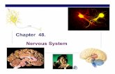 Chapter 48. Nervous System - Brookings School District ·  · 2008-04-24Chapter 48. Nervous System. AP Biology 2005-2006 Why do animals need a ... Structure fits function ... charges