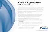 Information about The Digestive System - GESA Cartcart.gesa.org.au/membes/files/Consumer Information/Digestive System... · The Digestive System Information about ... for food to