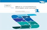 What is a Constitution?Principles and concepts 1 - IDEA corruption and good citizenship ... principles and assumptions, ... speech, association and ...